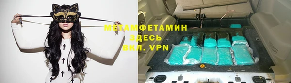 прущие грибы Липки