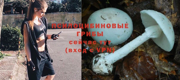 круглые Арсеньев