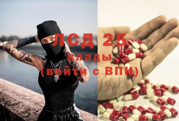 крисы Армянск