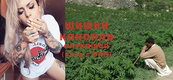 крисы Армянск