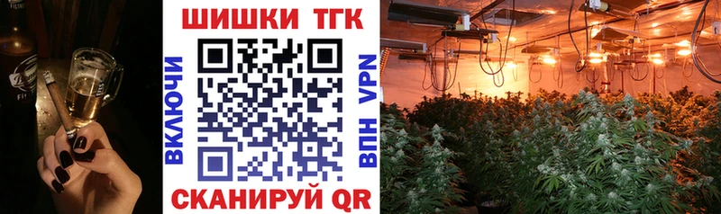 закладка  Магас  Шишки марихуана планчик 